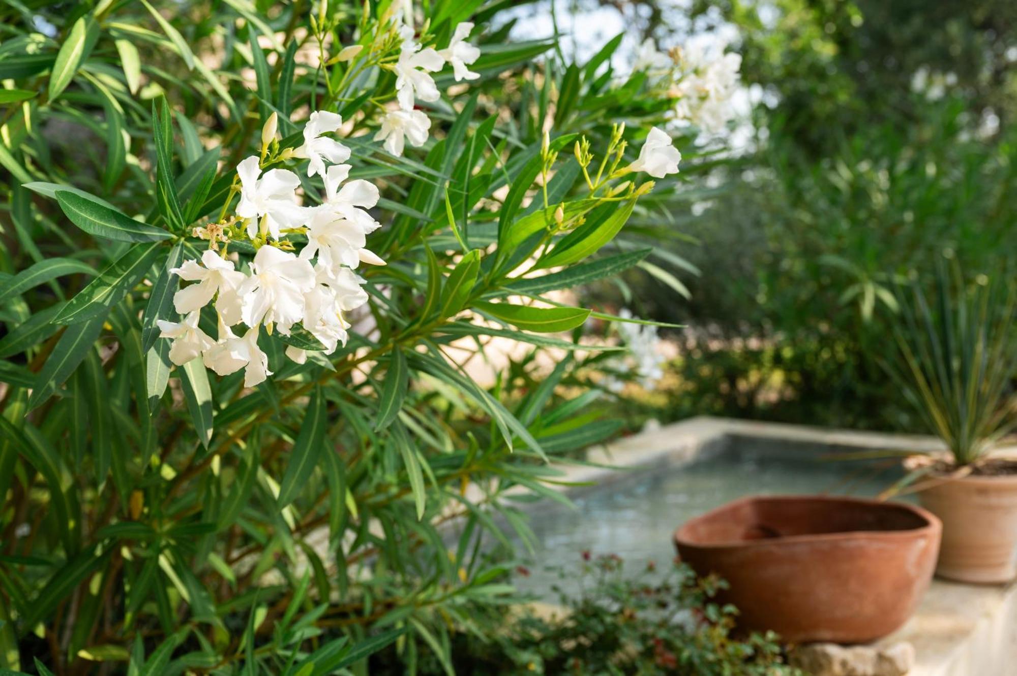 Maison D'Etienne Lacoste  Ngoại thất bức ảnh